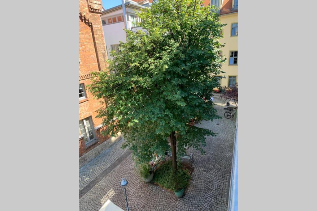 Altstadt, Fewo Im Markthof Am Dom Ερφούρτη Εξωτερικό φωτογραφία